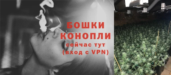 дживик Корсаков
