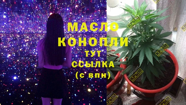 дживик Корсаков
