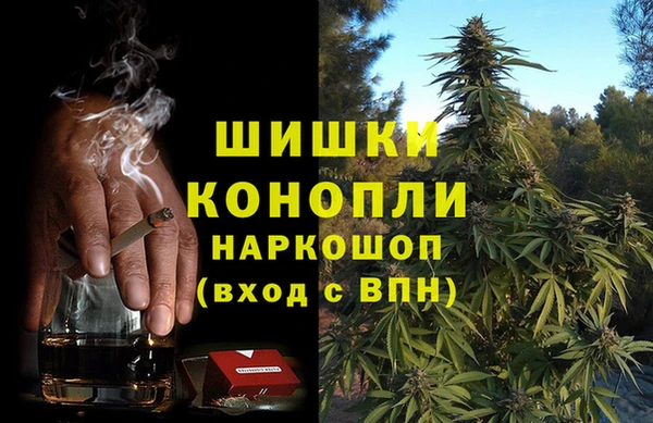 стаф Костерёво