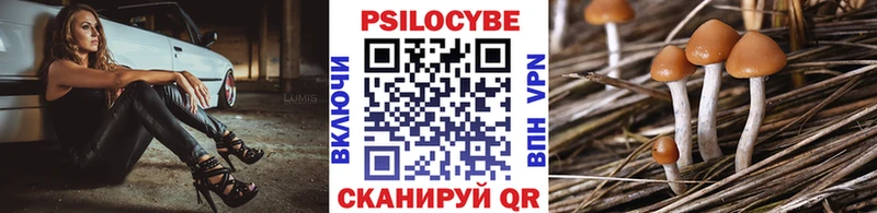 Купить где  Заозёрск  Псилоцибиновые грибы ЛСД 